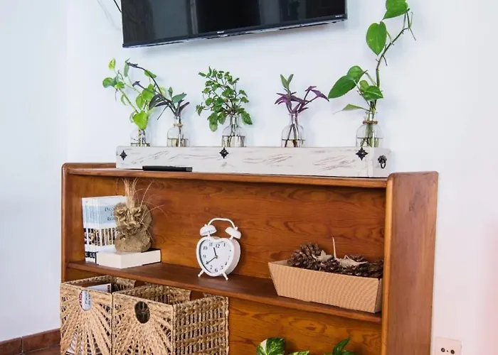 Cozy House Casa Vero Mai Icod De Vinos 펜션