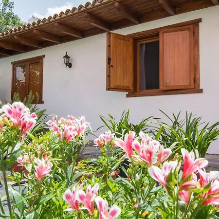 Cozy House Casa Vero Mai Icod De Vinos Сasa de vacaciones *