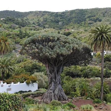 Сasa de vacaciones Cozy House Casa Vero Mai Icod De Vinos