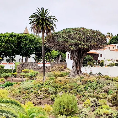 Сasa de vacaciones Cozy House Casa Vero Mai Icod De Vinos *