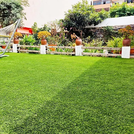 Cozy House Casa Vero Mai Icod De Vinos Сasa de vacaciones *